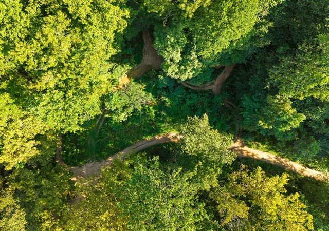 Photo 1 of Land for sale at 0 Old Mountain Ash Pike, Williamsburg, KY 40769 | MLS# 26024867 | Listing updated on 2026-09-10