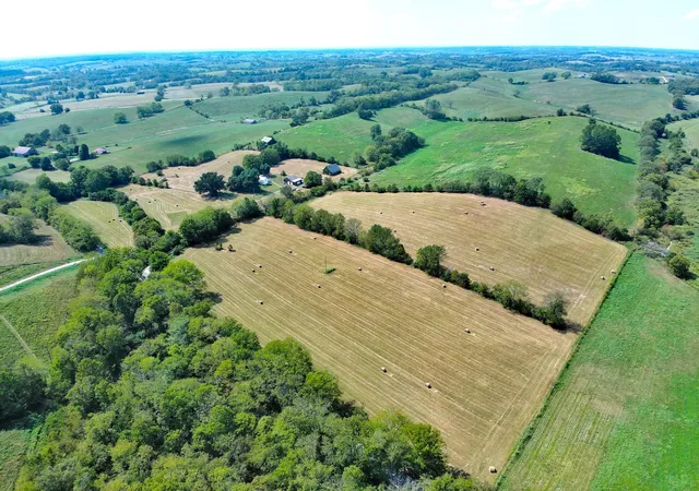Photo 3 of House for sale at 1363 Levy Rd, Paris, KY 40361 | MLS# 26024451 | Listing updated on 2026-10-07