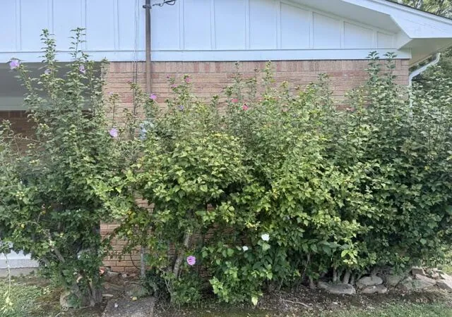 Photo 3 of Sale Pending at 111 Park Ln Dr, Paducah, KY 42003 | MLS# 26025176 | Listing updated on 2026-09-16