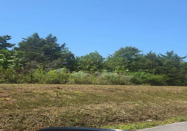 Photo 2 of Land for sale at 6 Bridge Holw Rd, Somerset, KY 42503 | MLS# 26024513 | Listing updated on 2026-09-08
