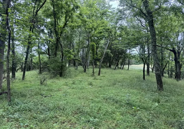 Photo 12 of Land for sale at 4135 Big Andy Ridge Rd #TRACTS 5, 6, 8, 9, Rogers, KY 41365 | MLS# 26024526 | Listing updated on 2026-09-06
