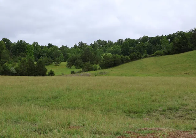 Photo 3 of Land for sale at 4135 Big Andy Ridge Rd #TRACTS 5, 6, 8, 9, Rogers, KY 41365 | MLS# 26024526 | Listing updated on 2026-09-06