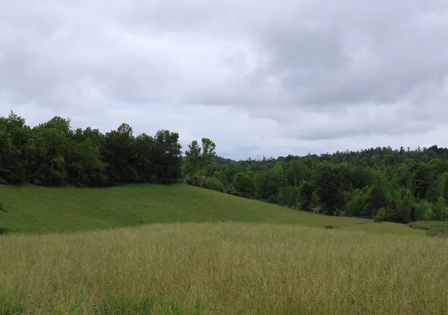 Photo 3 of Land for sale at 4135 Big Andy Ridge Rd #TRACTS 5, 6, 8, 9, Rogers, KY 41365 | MLS# 26024526 | Listing updated on 2026-10-22