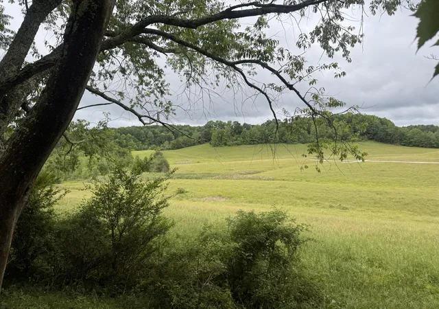 Photo 4 of Land for sale at 4135 Big Andy Ridge Rd #TRACTS 5, 6, 8, 9, Rogers, KY 41365 | MLS# 26024526 | Listing updated on 2026-10-22