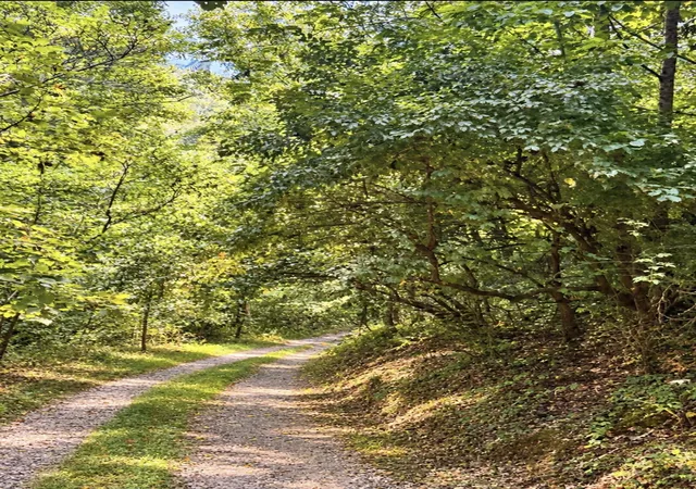 Photo 2 of Land for sale at 823 Frog Pond Rd, Inez, KY 41224 | MLS# 26024795 | Listing updated on 2026-09-09