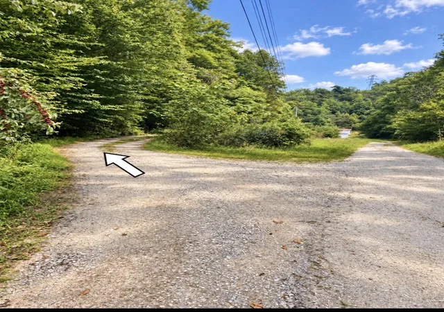 Photo 3 of Land for sale at 823 Frog Pond Rd, Inez, KY 41224 | MLS# 26024795 | Listing updated on 2026-09-09