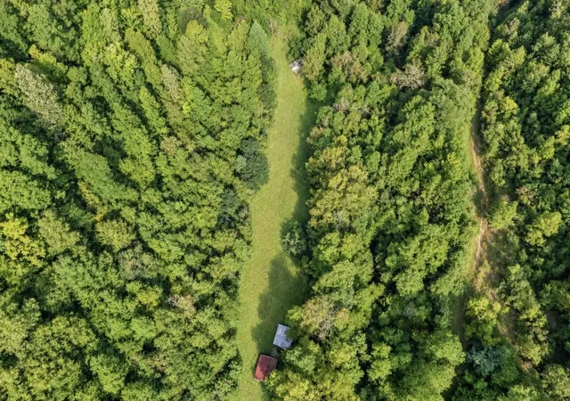 Photo 4 of Land for sale at 823 Frog Pond Rd, Inez, KY 41224 | MLS# 26024795 | Listing updated on 2026-09-09