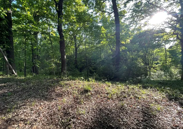 Photo 2 of Land for sale at Lots 14x 15x 16x Pines Cir, Cadiz, KY 42211 | MLS# 26024550 | Listing updated on 2026-09-07