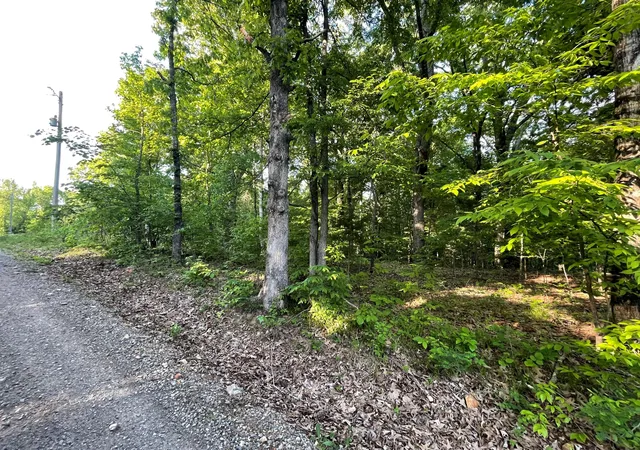 Photo 3 of Land for sale at Lots 1x 2x 3x Pines Cir, Cadiz, KY 42211 | MLS# 26024551 | Listing updated on 2026-09-07