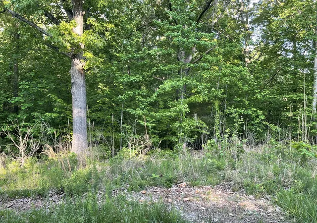 Photo 2 of Land for sale at Lots 4x 5x 6x Pines Cir, Cadiz, KY 42211 | MLS# 26024552 | Listing updated on 2026-09-07