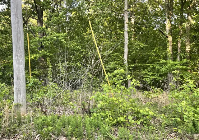 Photo 3 of Land for sale at Lots 4x 5x 6x Pines Cir, Cadiz, KY 42211 | MLS# 26024552 | Listing updated on 2026-09-07