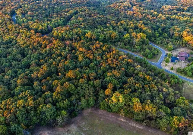 Photo 4 of Land for sale at Lot 79b Waterfowl Rd, Murray, KY 42071 | MLS# 26024649 | Listing updated on 2026-09-08