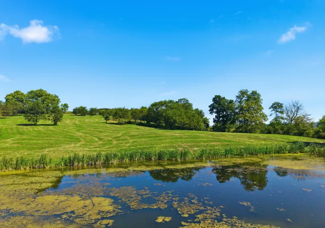 Photo 4 of Sale Pending at 5318a State Hwy 1032, Berry, KY 41003 | MLS# 26024581 | Listing updated on 2026-09-09