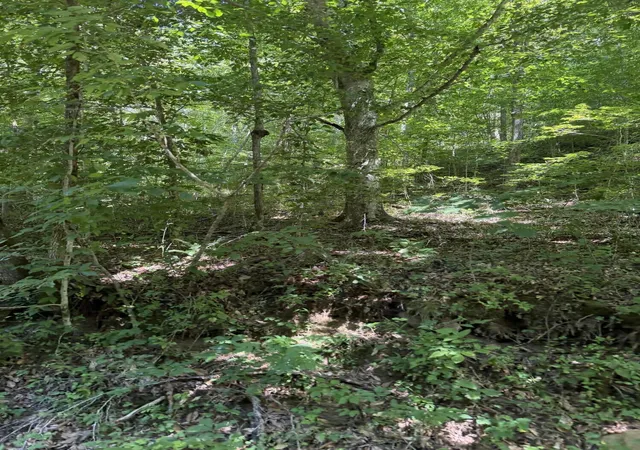 Photo 1 of Land for sale at 370 Roaring Frk Rd, Walker, KY 40997 | MLS# 26024635 | Listing updated on 2026-09-09