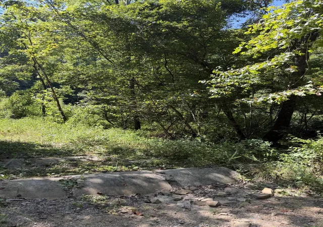 Photo 3 of Land for sale at 370 Roaring Frk Rd, Walker, KY 40997 | MLS# 26024635 | Listing updated on 2026-09-09