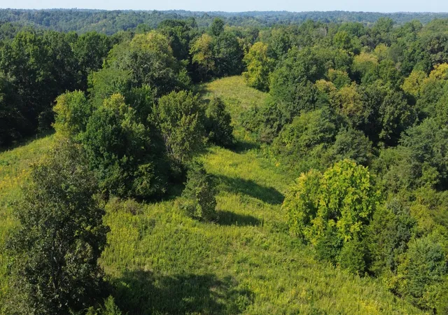 Photo 3 of Land for sale at 2502 Crooked Crk Rd, Carlisle, KY 40311 | MLS# 26024618 | Listing updated on 2026-09-08