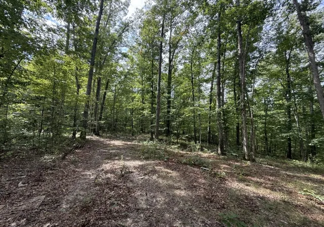 Land for sale at 0000 Shady Grv Rd #Lot 5, Mt Vernon, KY 40456 | MLS# 26024710