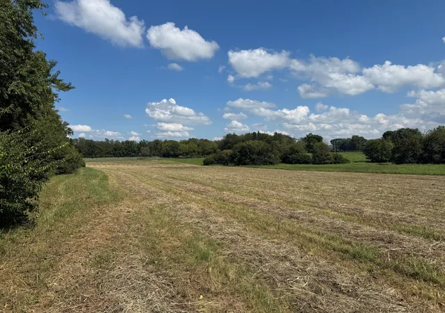 Photo 3 of Sale Pending at 2445 Bryan Sta Rd, Lexington, KY 40516 | MLS# 26024738 | Listing updated on 2026-09-16