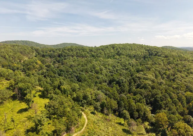 Photo 4 of Land for sale at 0 Arkle Rd, Gray, KY 40734 | MLS# 26025078 | Listing updated on 2026-09-11