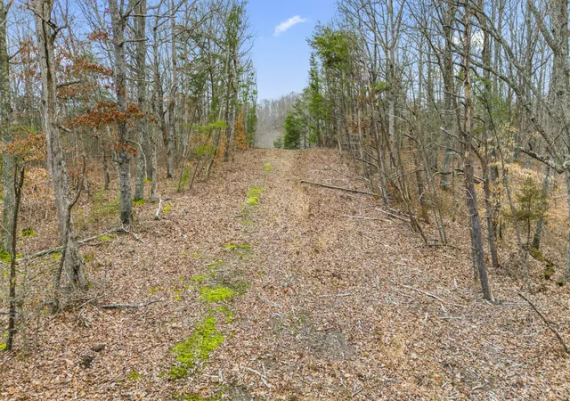 Photo 4 of Land for sale at 199 Midway Rd, Winchester, KY 40391 | MLS# 26024771 | Listing updated on 2026-10-13