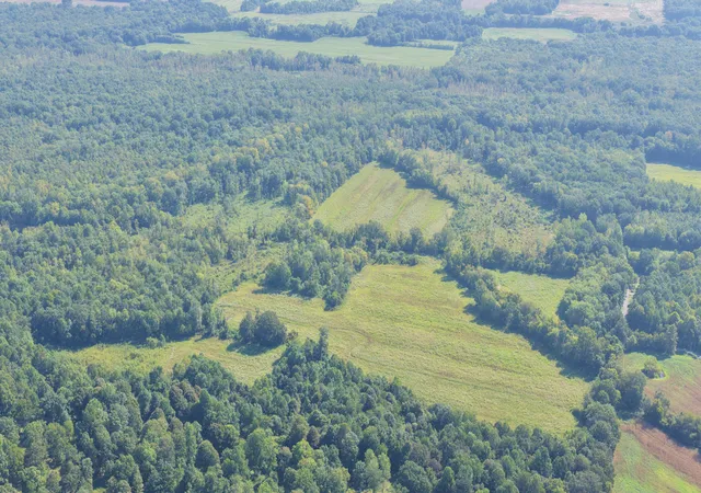 Photo 1 of Land for sale at 00 Dogtown Rd, Benton, KY 42025 | MLS# 26024831 | Listing updated on 2026-09-09