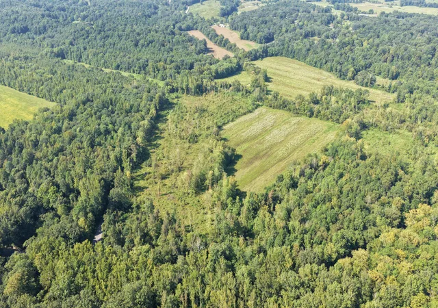 Photo 2 of Land for sale at 00 Dogtown Rd, Benton, KY 42025 | MLS# 26024831 | Listing updated on 2026-09-09