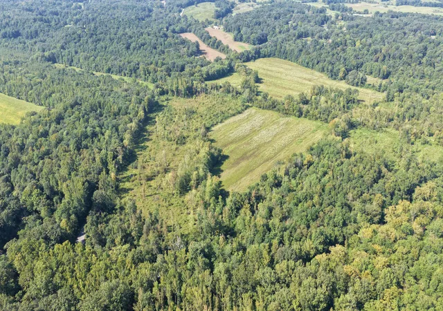 Photo 3 of Land for sale at 00 Dogtown Rd, Benton, KY 42025 | MLS# 26024831 | Listing updated on 2026-09-09