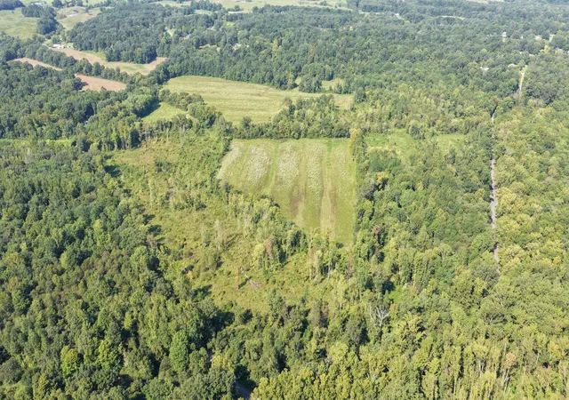 Photo 3 of Land for sale at 00 Dogtown Rd, Benton, KY 42025 | MLS# 26024831 | Listing updated on 2026-09-09