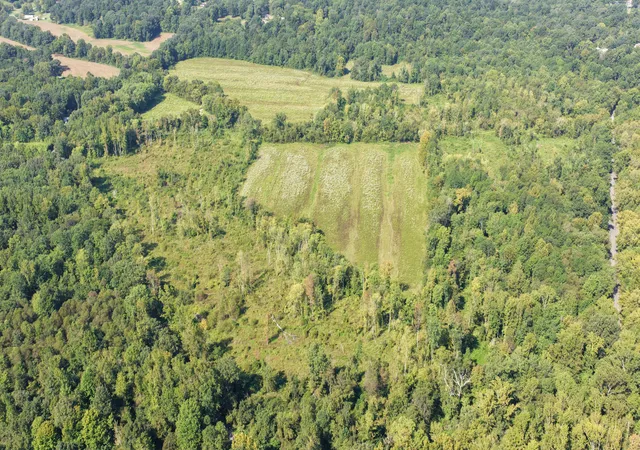 Photo 4 of Land for sale at 00 Dogtown Rd, Benton, KY 42025 | MLS# 26024831 | Listing updated on 2026-09-09