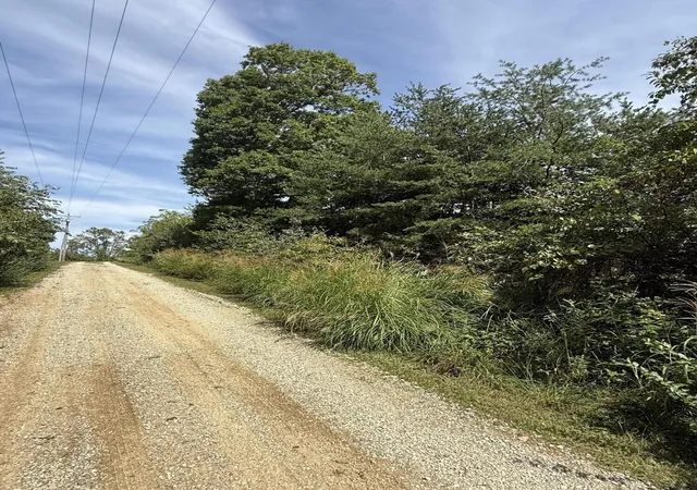Photo 2 of Land for sale at 1197 & 25 1197 State Hwy 1036, Zoe, KY 41397 | MLS# 26025291 | Listing updated on 2026-09-15