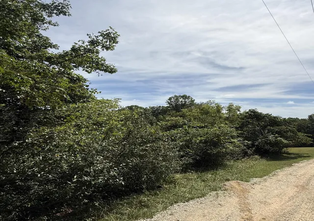 Photo 3 of Land for sale at 1197 & 25 1197 State Hwy 1036, Zoe, KY 41397 | MLS# 26025291 | Listing updated on 2026-09-15