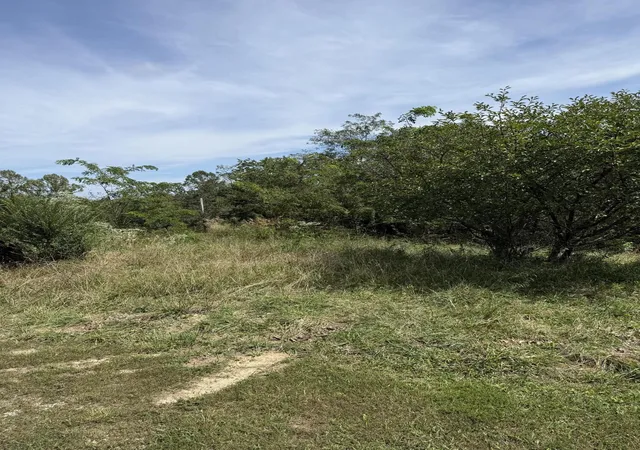 Photo 3 of Land for sale at 1197 & 25 1197 State Hwy 1036, Zoe, KY 41397 | MLS# 26025291 | Listing updated on 2026-09-15