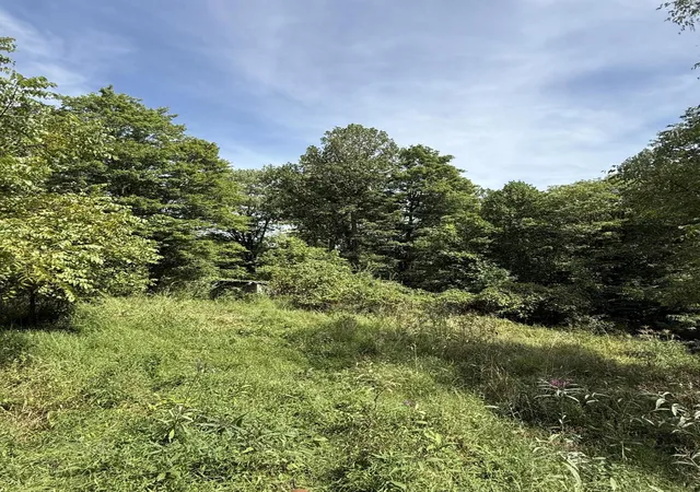 Photo 4 of Land for sale at 1197 & 25 1197 State Hwy 1036, Zoe, KY 41397 | MLS# 26025291 | Listing updated on 2026-09-15