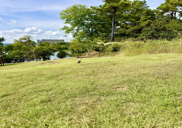 Photo 2 of Land for sale at 30 Spring St, Eddyville, KY 42038 | MLS# 26024944 | Listing updated on 2026-09-10