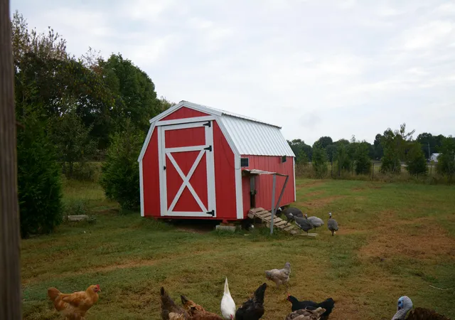 Photo 4 of Single family home for sale at 18 Aderholt Rd, Bronston, KY 42518 | MLS# 26025008 | Listing updated on 2026-09-12