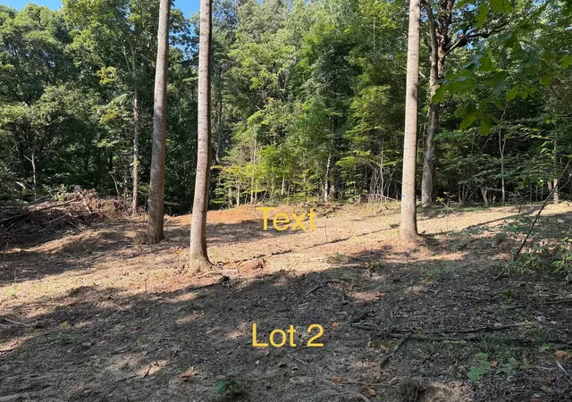 Land for sale at 5664 Ky 1546 #Lot 2, Monticello, KY 42633 | MLS# 26025094