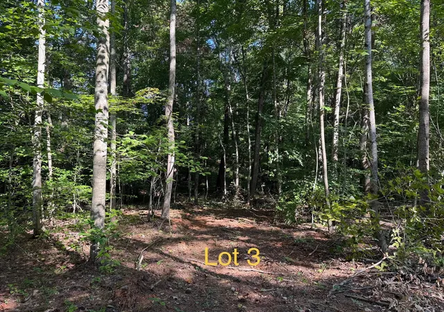 Land for sale at 5664 Ky 1546 #Lot 3, Monticello, KY 42633 | MLS# 26025136