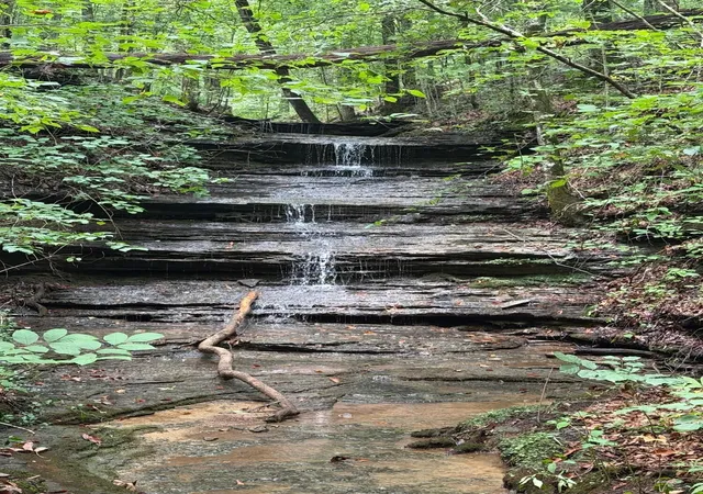 Photo 3 of Land for sale at 5664 Ky 1546 #Lot 3, Monticello, KY 42633 | MLS# 26025136 | Listing updated on 2026-09-12