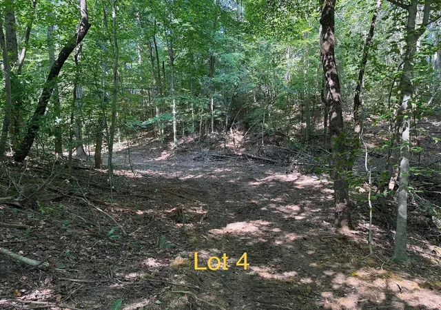 Photo 1 of Land for sale at 5664 Ky 1546 #Lot 4, Monticello, KY 42633 | MLS# 26025137 | Listing updated on 2026-09-12