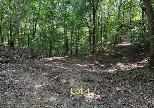 Photo 2 of Land for sale at 5664 Ky 1546 #Lot 4, Monticello, KY 42633 | MLS# 26025137 | Listing updated on 2026-09-12