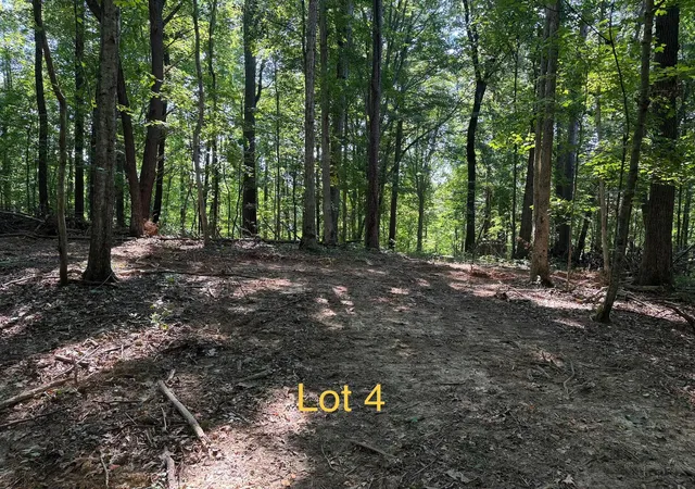 Photo 3 of Land for sale at 5664 Ky 1546 #Lot 4, Monticello, KY 42633 | MLS# 26025137 | Listing updated on 2026-09-12