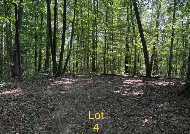 Photo 4 of Land for sale at 5664 Ky 1546 #Lot 4, Monticello, KY 42633 | MLS# 26025137 | Listing updated on 2026-09-12