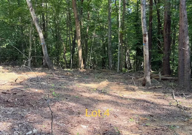 Land for sale at 5664 Ky 1546 #Lot 5, Monticello, KY 42633 | MLS# 26025138