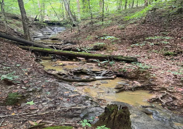 Photo 4 of Land for sale at 5664 Ky 1546 #Lot 5, Monticello, KY 42633 | MLS# 26025138 | Listing updated on 2026-09-12
