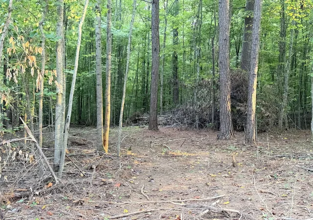 Land for sale at 5664 Ky 1546 #Lots 6, Monticello, KY 42633 | MLS# 26025139