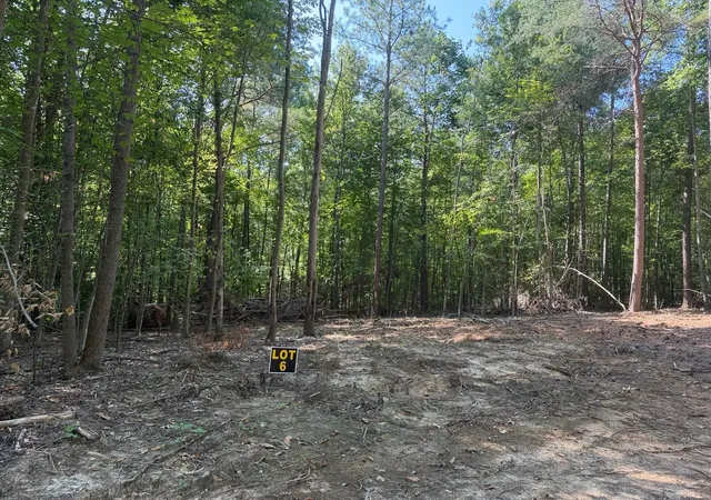 Photo 1 of Land for sale at 5664 Ky 1546 #Lots 6, Monticello, KY 42633 | MLS# 26025139 | Listing updated on 2026-09-12