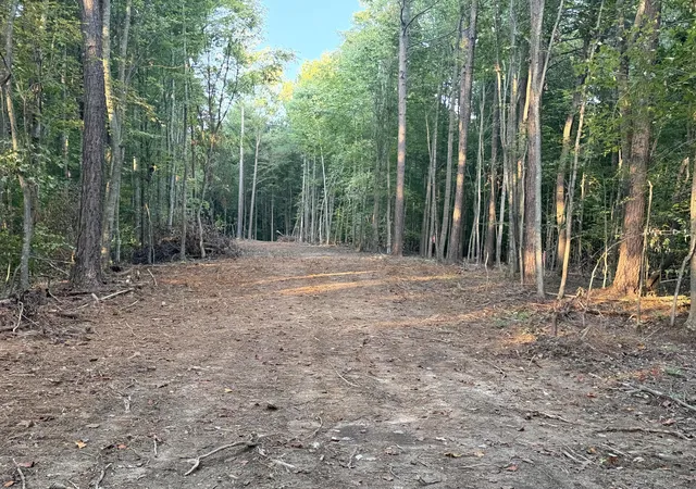 Photo 2 of Land for sale at 5664 Ky 1546 #Lots 6, Monticello, KY 42633 | MLS# 26025139 | Listing updated on 2026-09-12