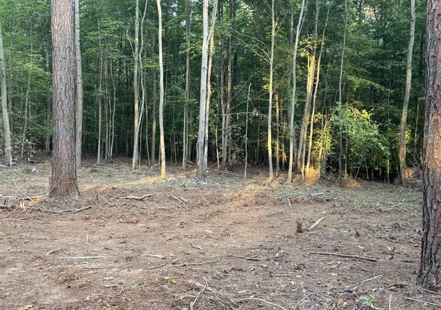 Photo 3 of Land for sale at 5664 Ky 1546 #Lots 6, Monticello, KY 42633 | MLS# 26025139 | Listing updated on 2026-09-12
