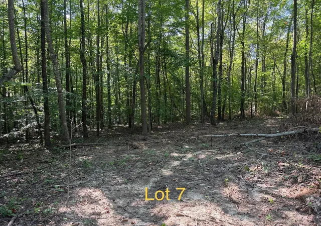 Land for sale at 5664 Ky 1546 #Lot 7, Monticello, KY 42633 | MLS# 26025140