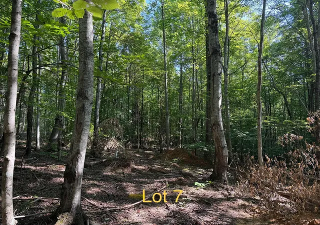 Photo 2 of Land for sale at 5664 Ky 1546 #Lot 7, Monticello, KY 42633 | MLS# 26025140 | Listing updated on 2026-09-12